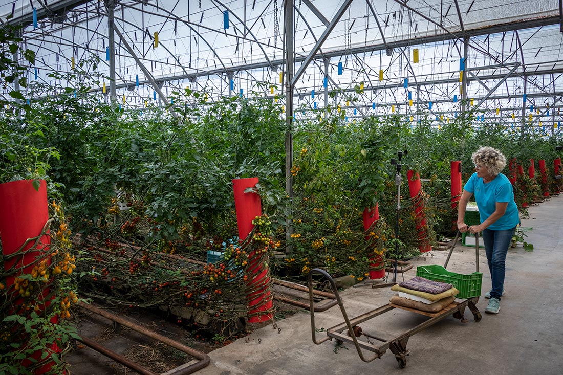 Lola fra Clisol i Mar de Plastico i Almeria