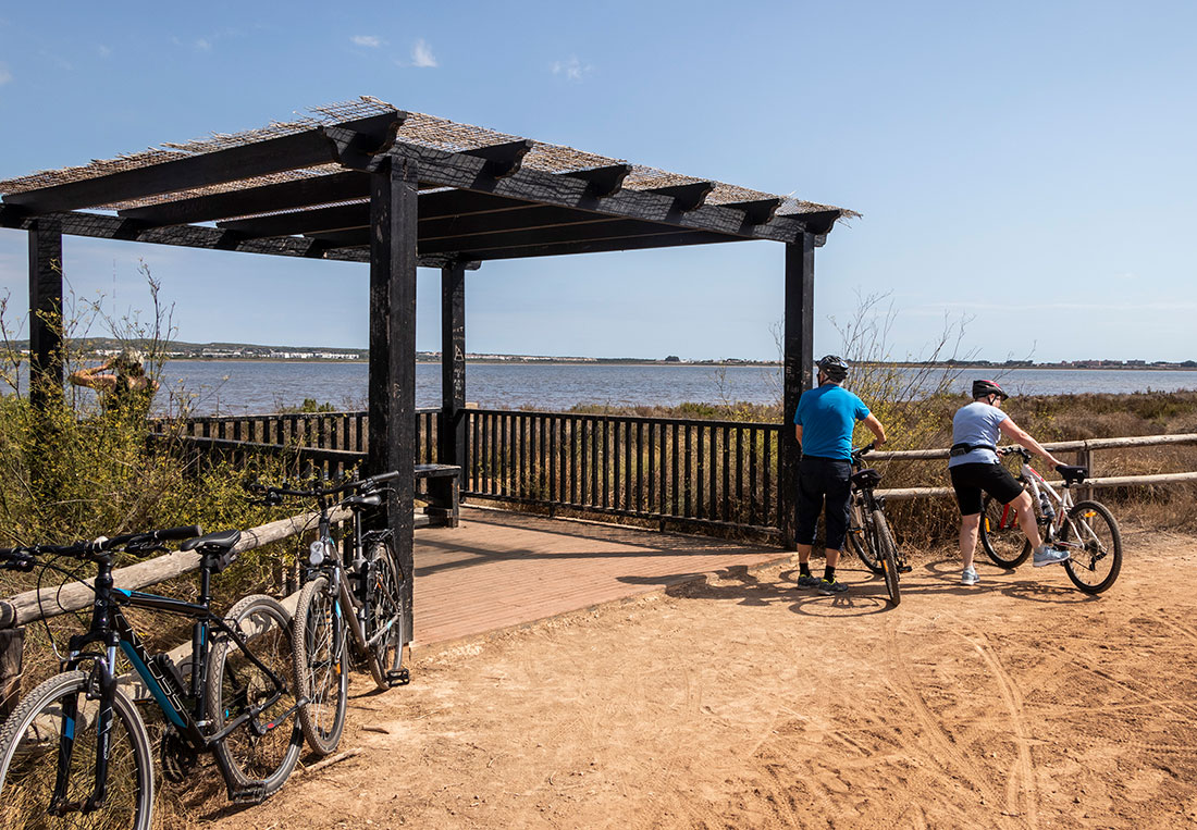 Da un paseo en bici por el lago rosa de Torrevieja