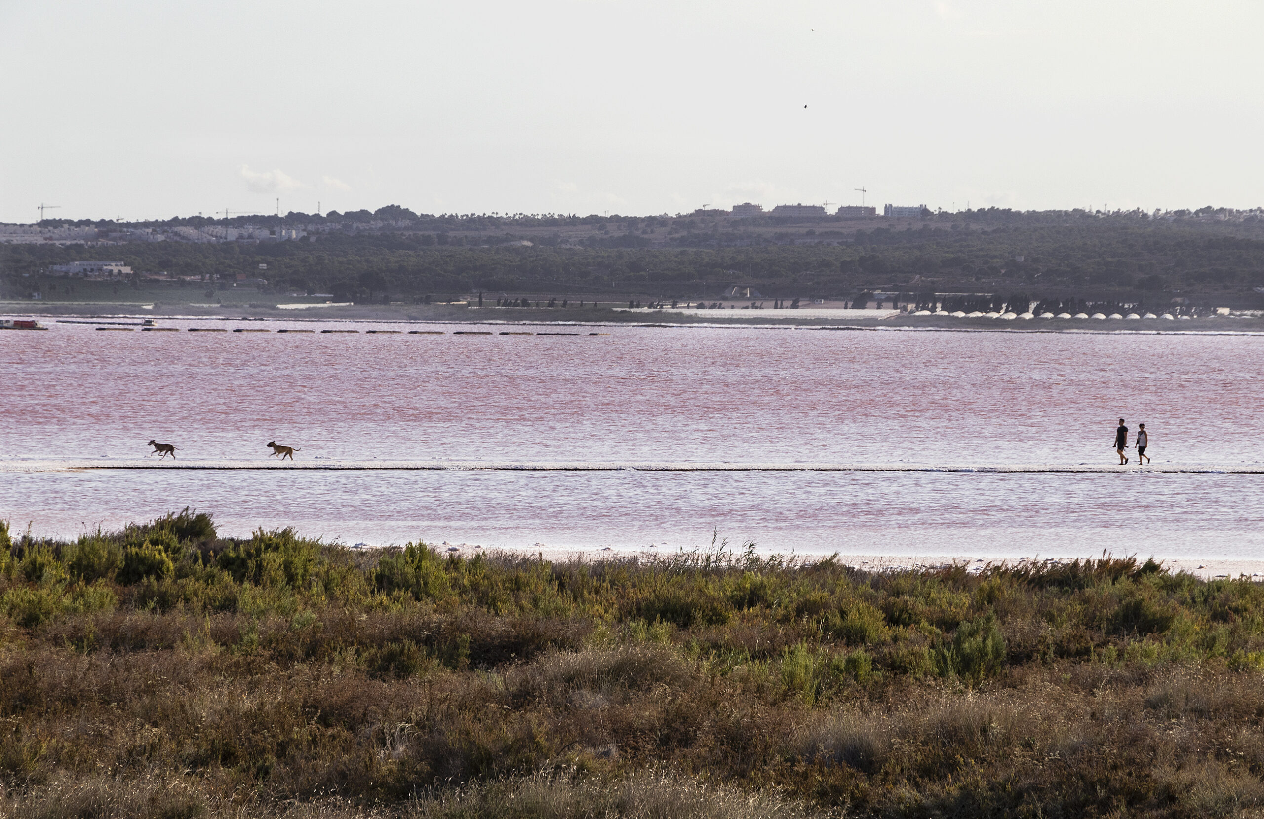 El lago rosa de Torrevieja tiene propiedades curativas