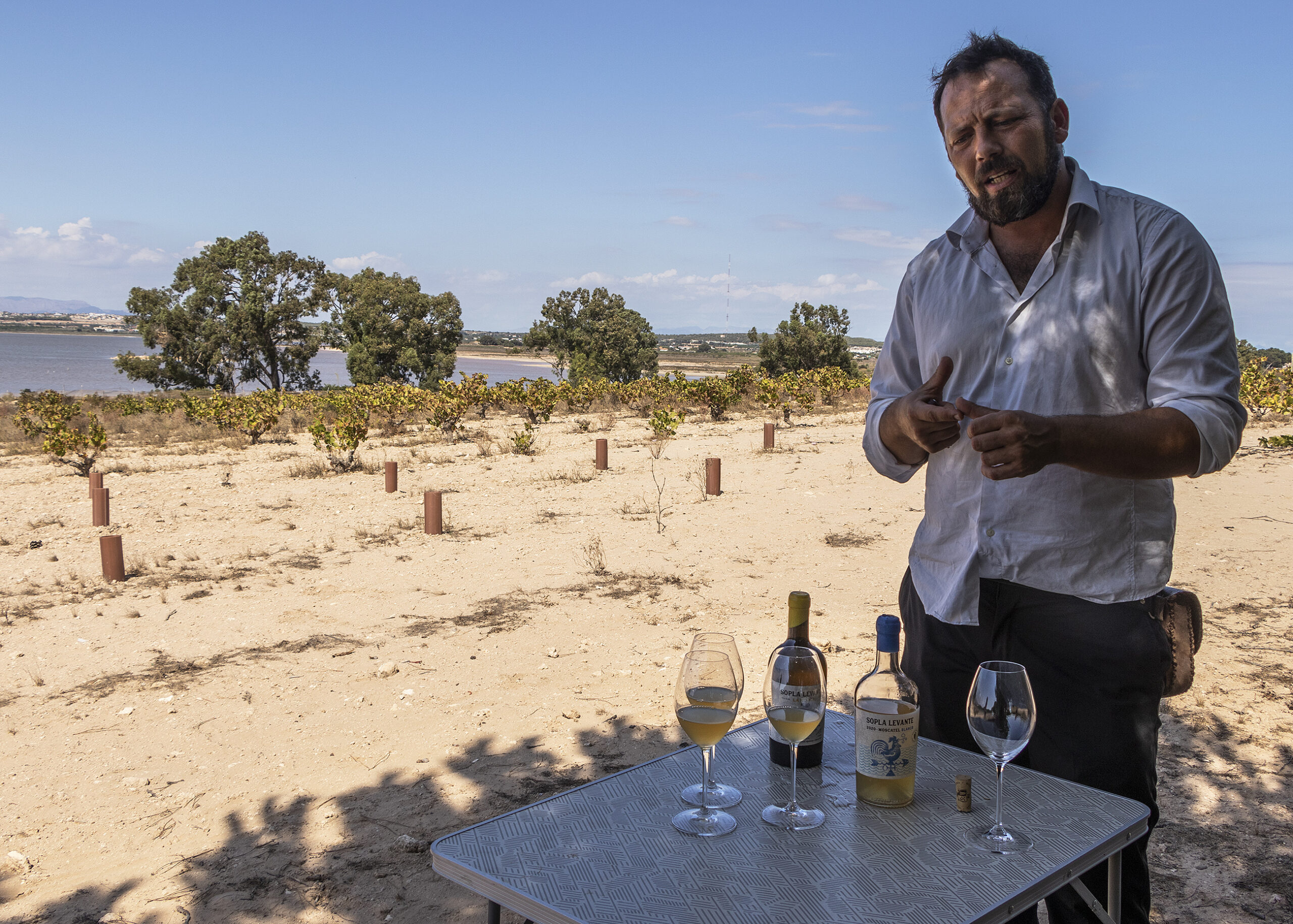 El vino de Torrevieja sabe a la sal que golpea las viñas y procede de la laguna salada rosa de la ciudad