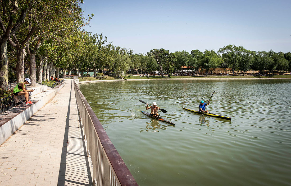 Row on the lake in Casa de Campo in Madrid