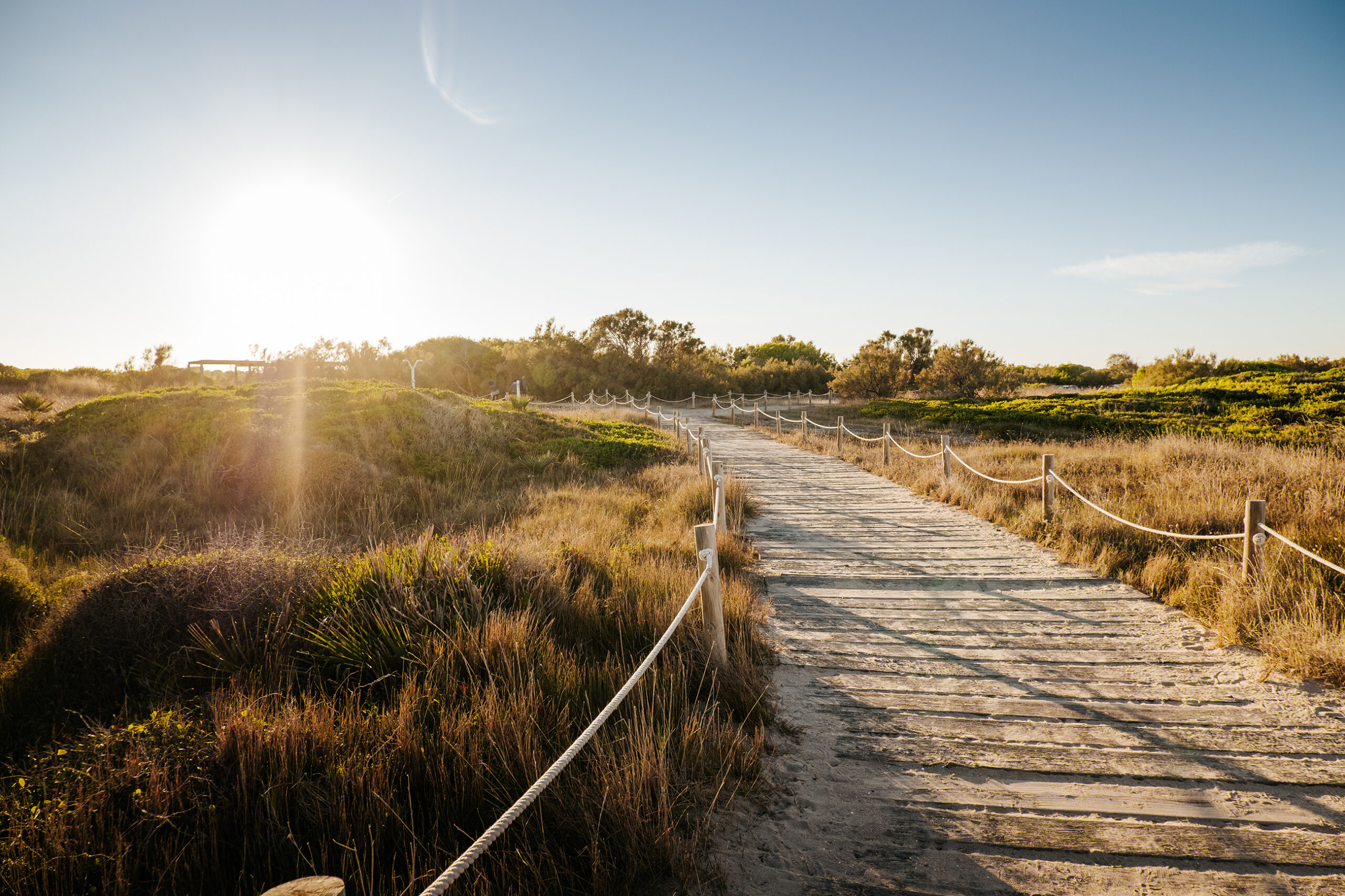 Playa natural de El Saler en Valencia. Foto: David Rota