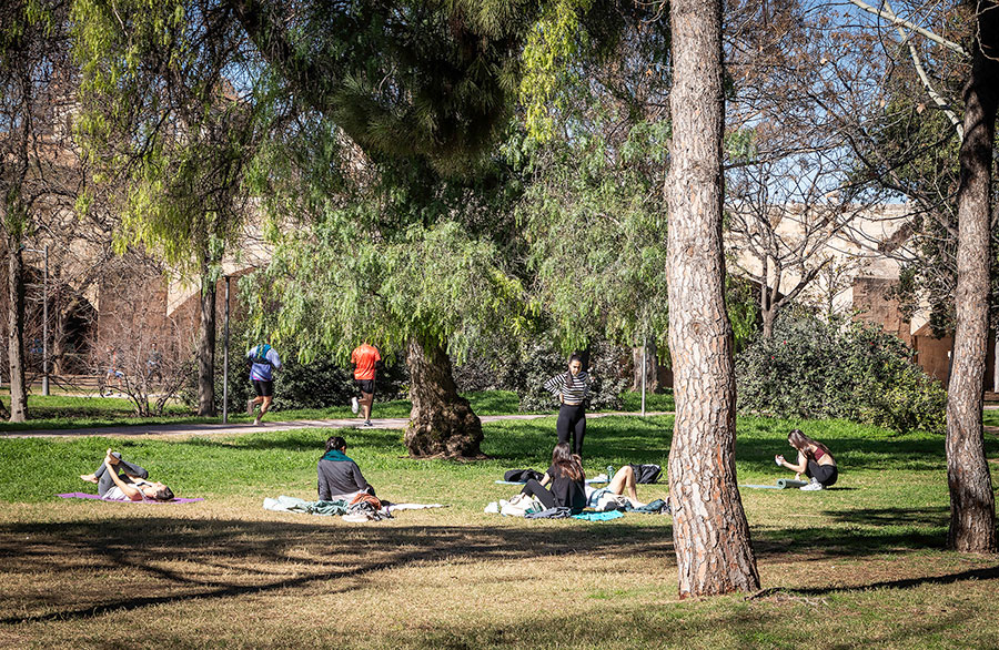 En los Jardines del Turia de Valencia se practica yoga bajo los árboles.