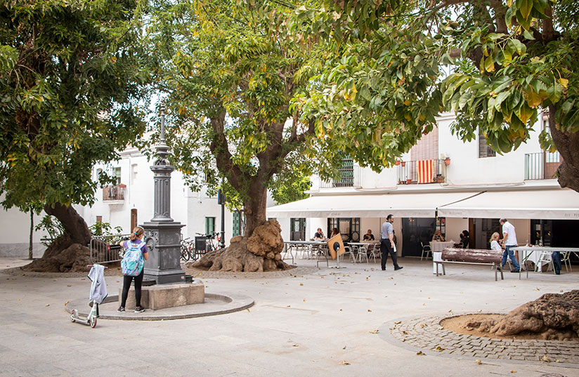 Placa de Prim Poblenou Barcelona