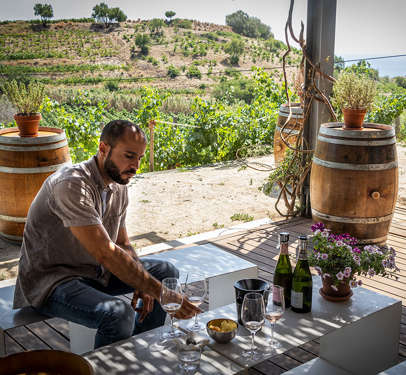 Wine tasting at Alta Allea near Barcelona