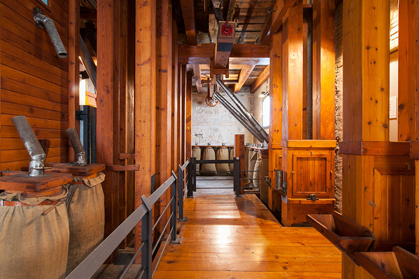 Rismuseet i Valencia. Foto: Visit Valencia