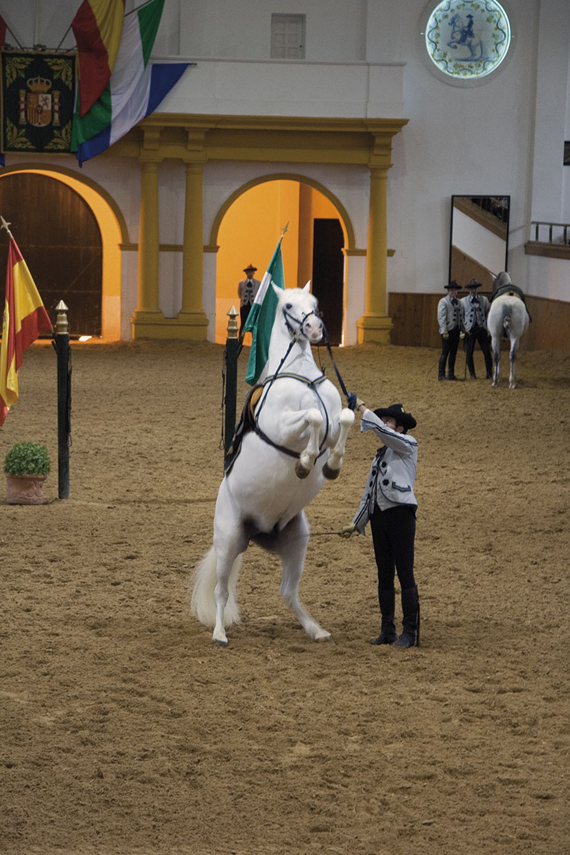 Observa cómo bailan los caballos en el picadero andaluz de Jerez de la Frontera.