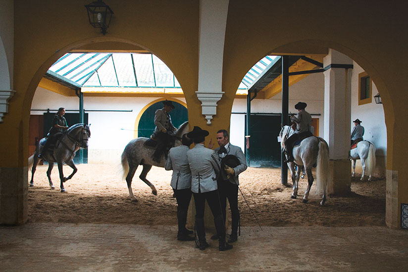 Entre bastidores durante el descanso en la Escuela Andaluza de Equitación en Jerez, España.