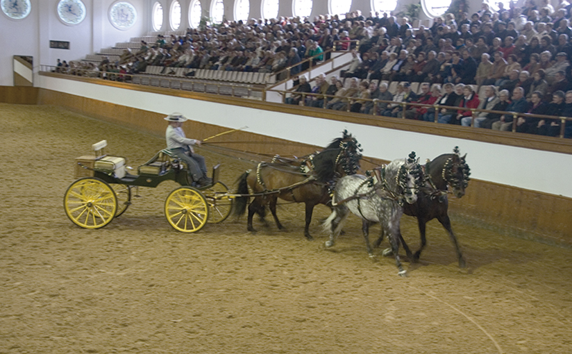 Es un arte especial que los caballos andaluces realizan en Jerez de la Frontera.