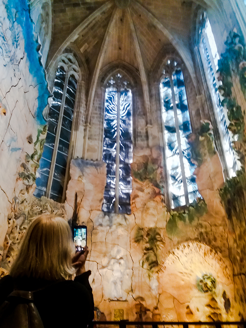 Palma de Mallorcas katedral. Foto: Silvia Weinbaum