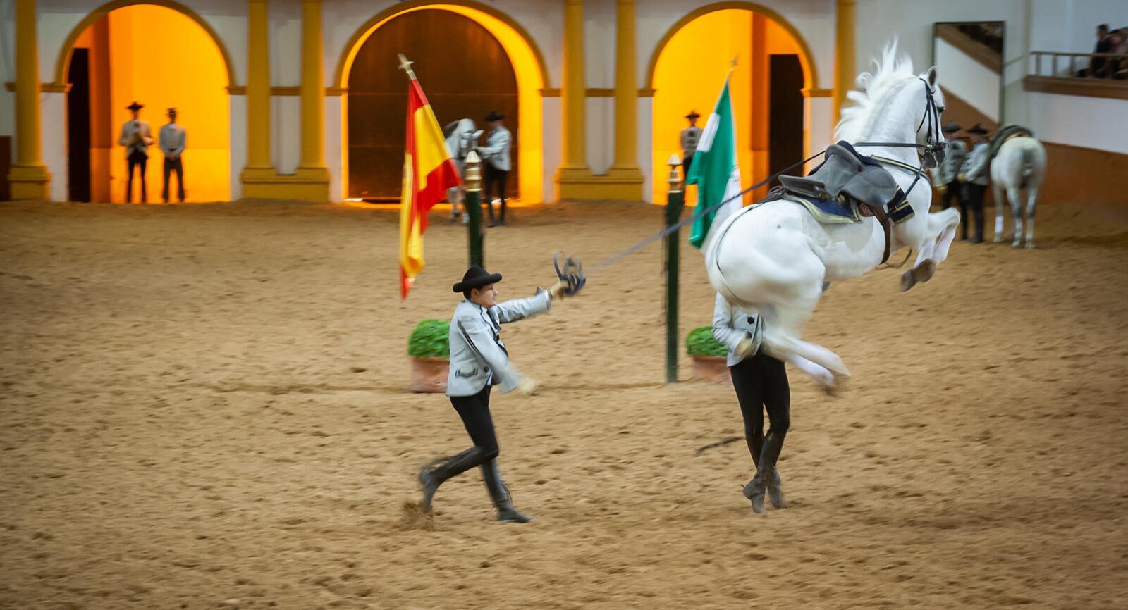 Espectáculo ecuestre en Jerez de la Frontera: Mira bailar a los caballos andaluces