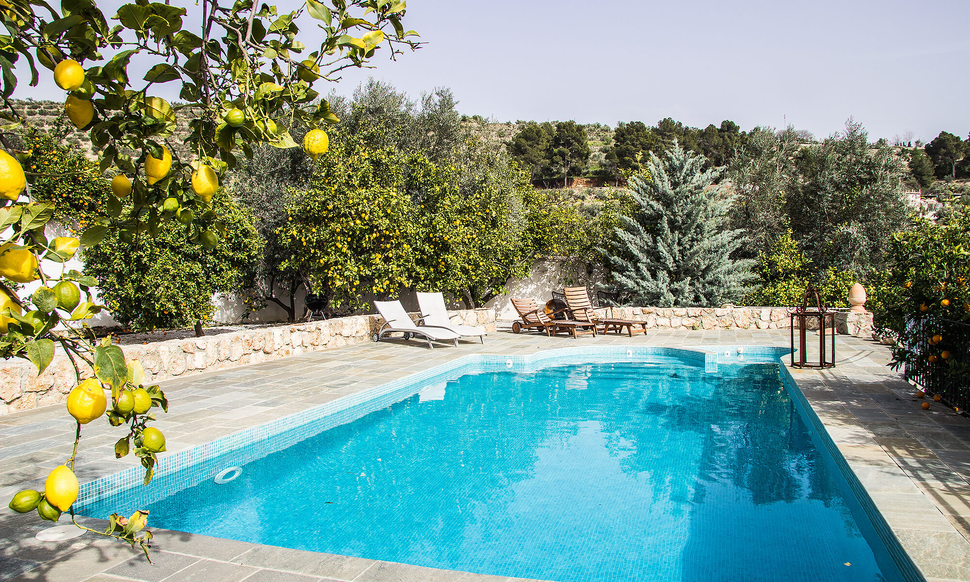 Jardin_de_los_limones_pool