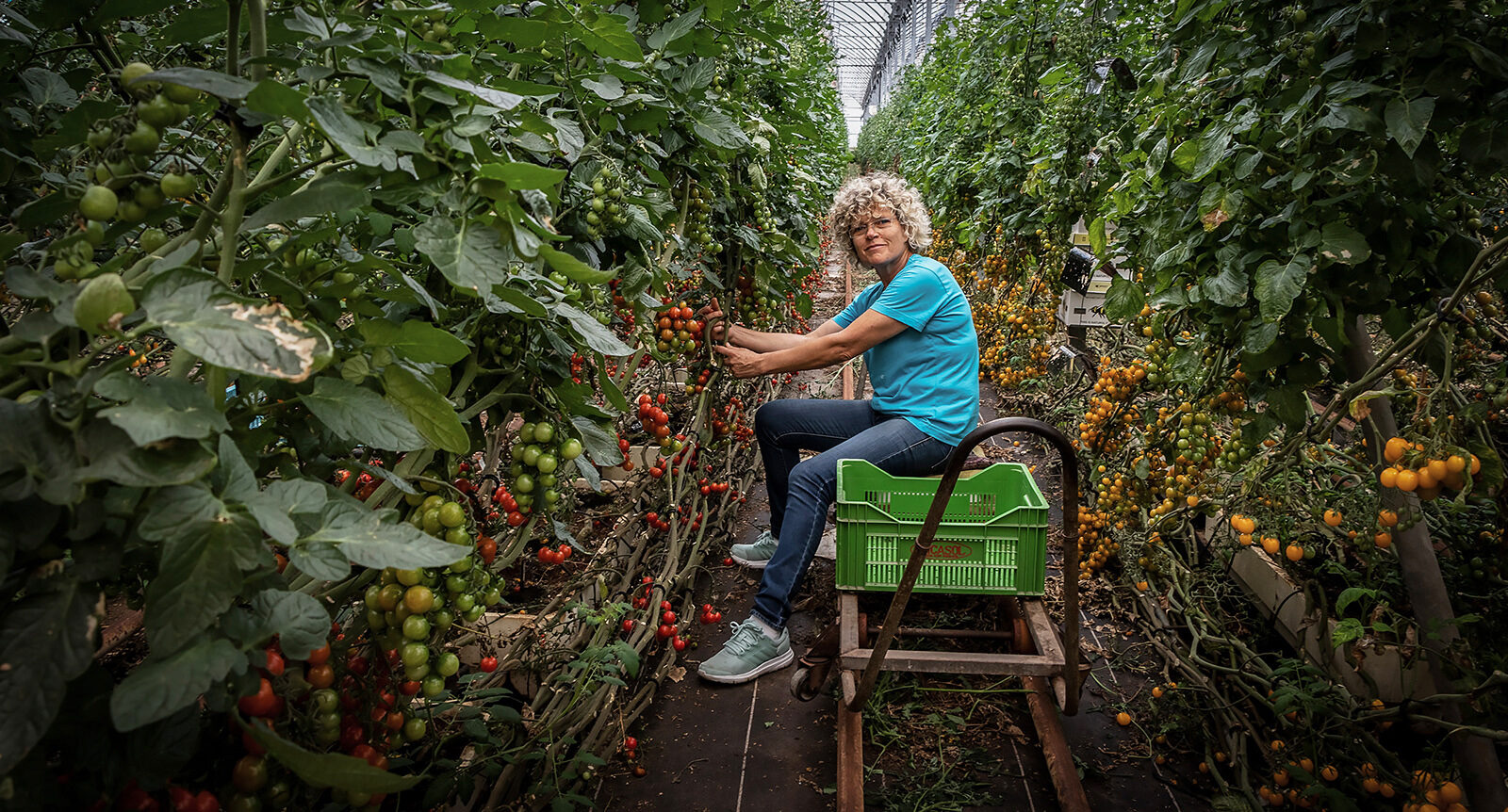 Lola dyrker bæredygtige tomater og peberfrugter i Plastikhavet i Almería