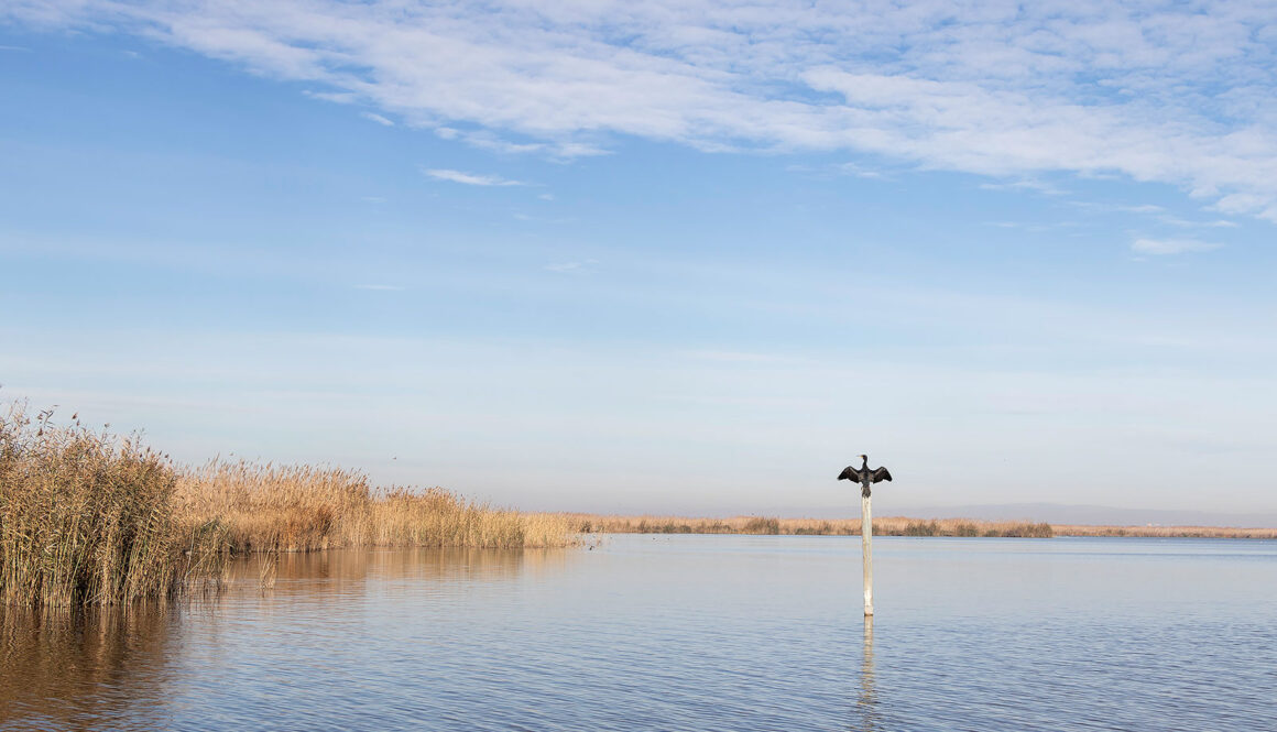 9 experiencias sostenibles en Valencia