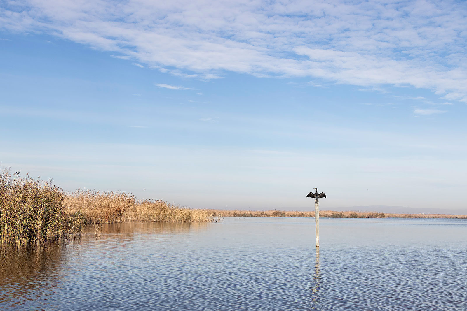 9 experiencias sostenibles en Valencia